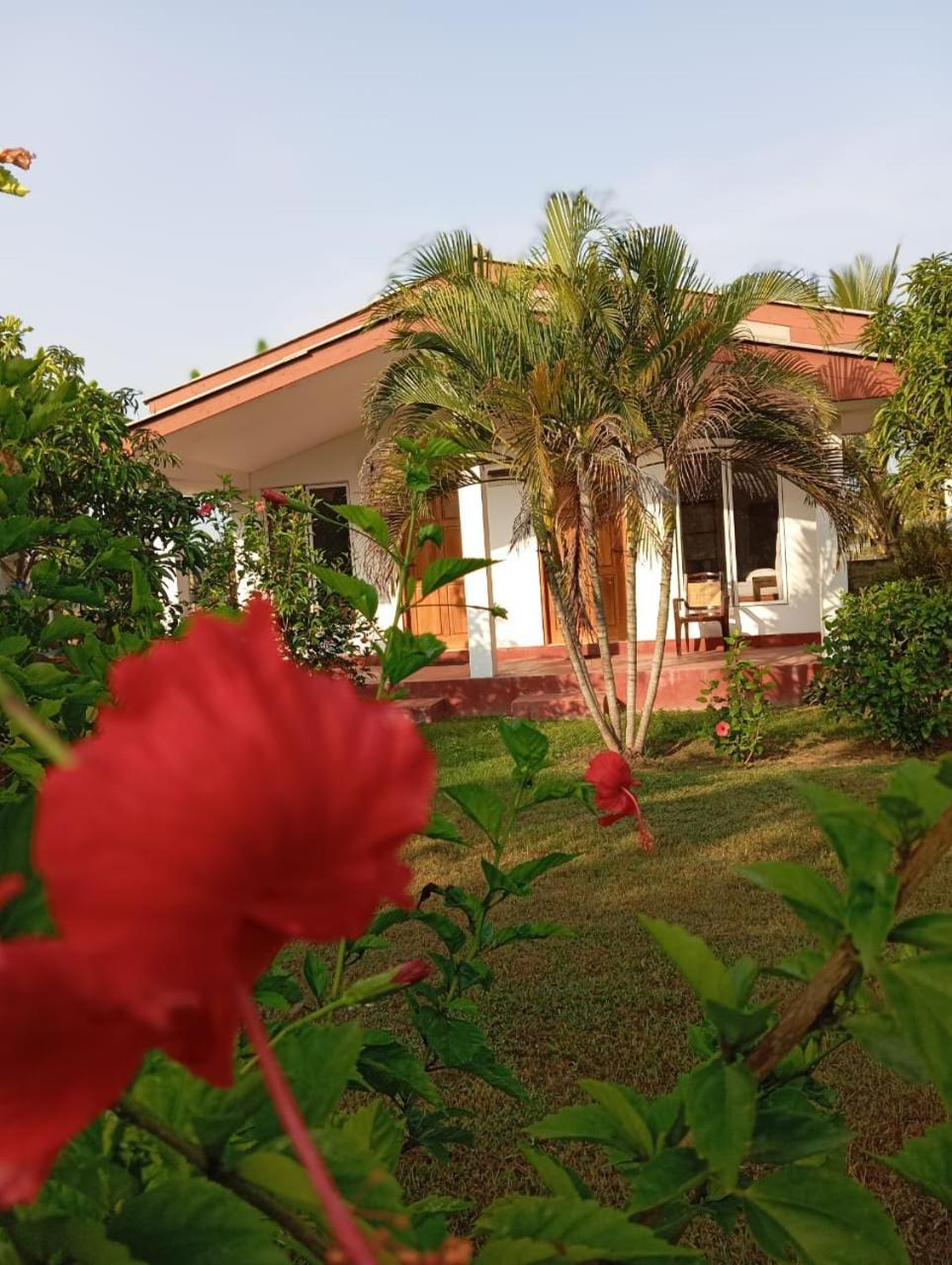 Jeys Place Nilaveli Exterior photo