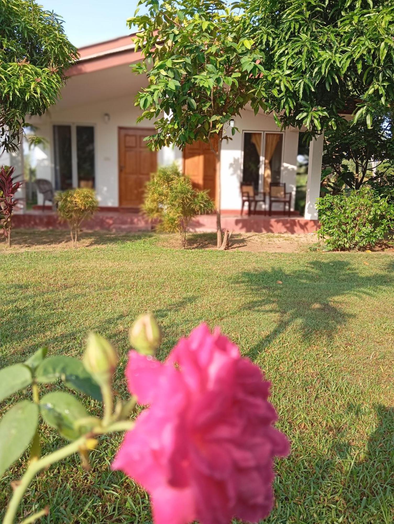 Jeys Place Nilaveli Exterior photo